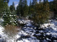 Snowy Creek lower