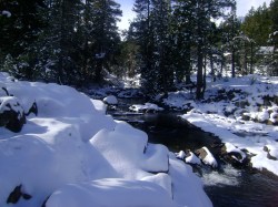 Snowy Creek