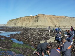 Students checking out the tide&nbsp;pools