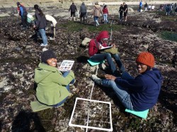 Students surveying the&nbsp;tidepools