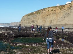 Students in the tide&nbsp;pools