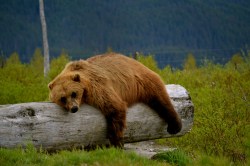 Alaska Trip 2012: Day&nbsp;1