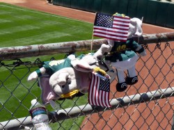 Independence Day Stomper