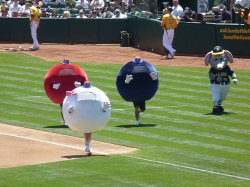 Live dot racing… it’s still&nbsp;dumb.