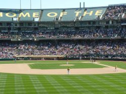 View from the&nbsp;bleachers