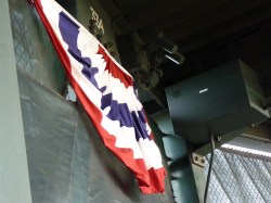 World Series bunting